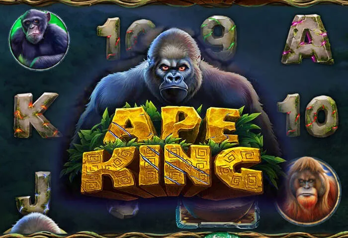 Ποντάρισμα μπόνους στο vegasslot: Όροι και προϋποθέσεις.
